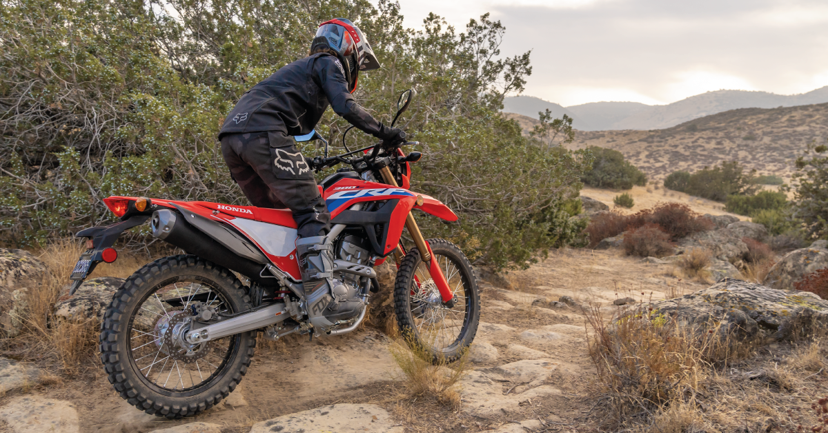 CRF 300 L Honda Moto
