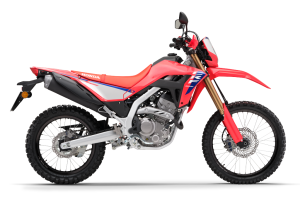 CRF 300 L